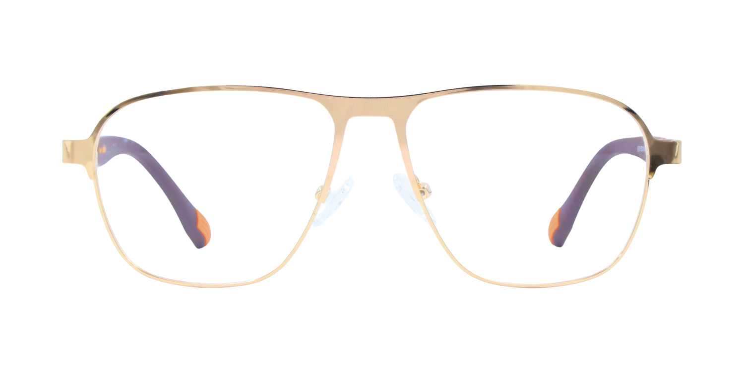 Full Rim Aviator Classic Eyeglasses 8021