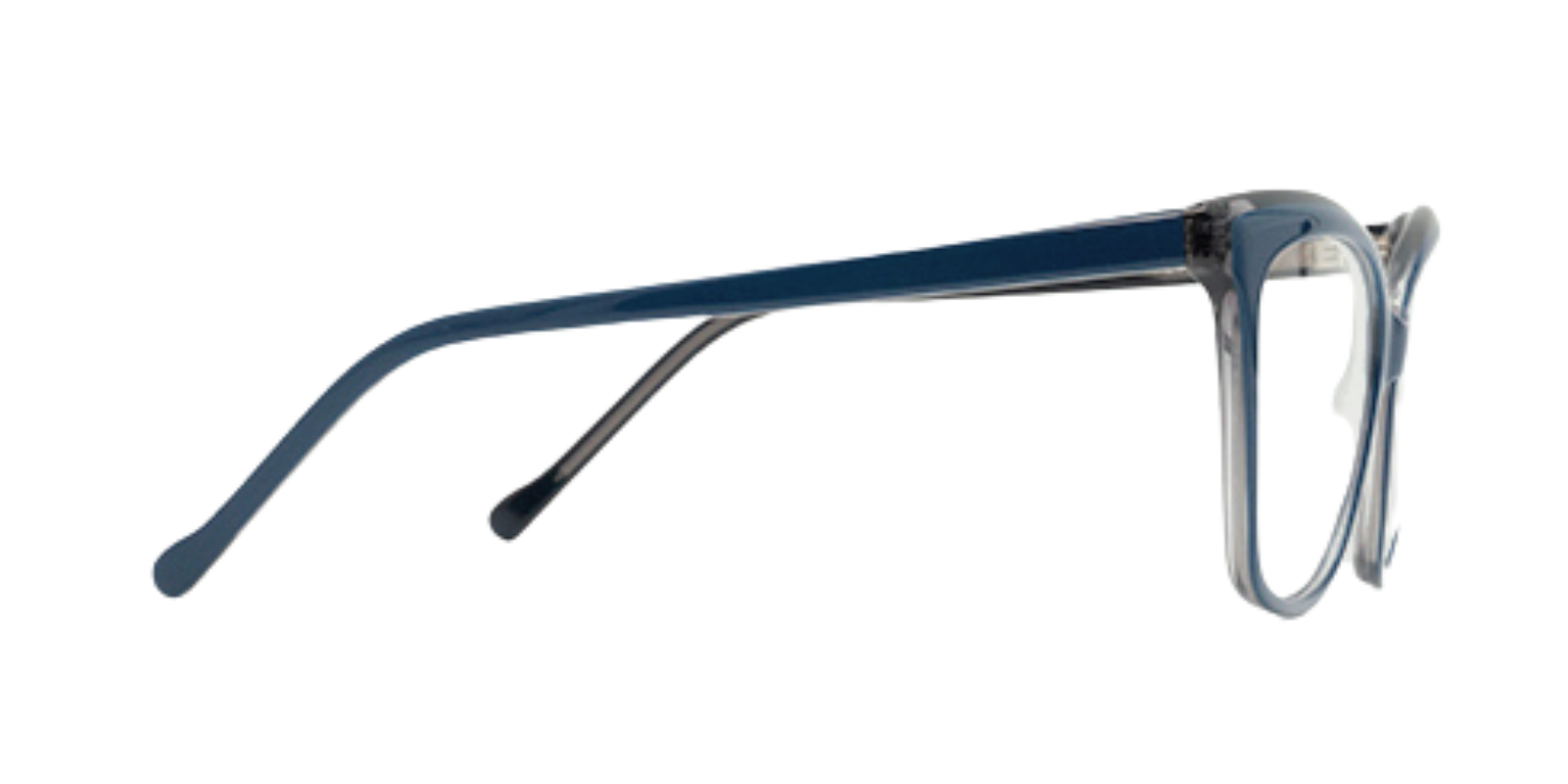 Full Rim Cat Eye Classic Eyeglasses A21809