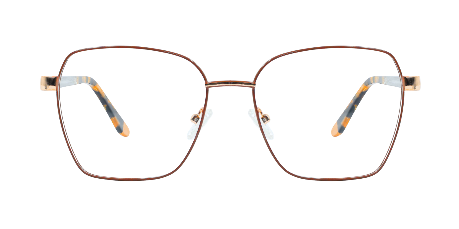 Full Rim Geometric Classic Eyeglasses CH002
