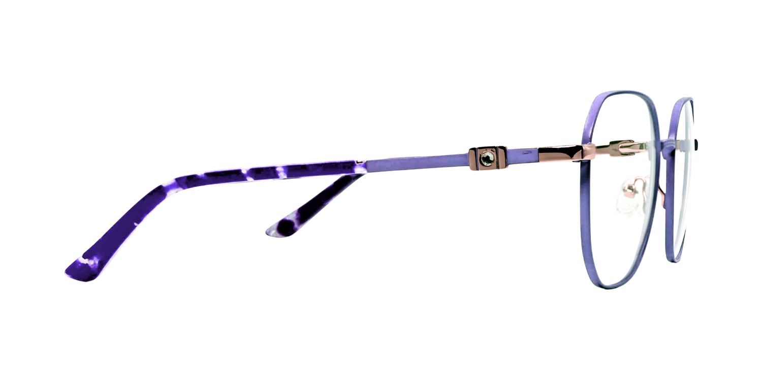 Full Rim Cat EyeClassic Eyeglasses CH008