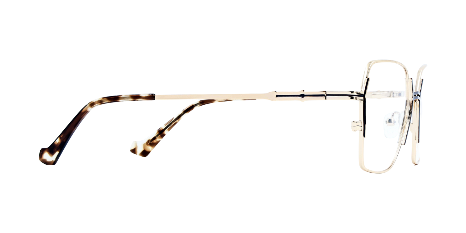 Full Rim Cat EyeClassic Eyeglasses CH9022