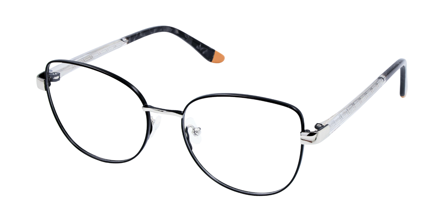 Full Rim Cat Eye Classic Eyeglasses CH006