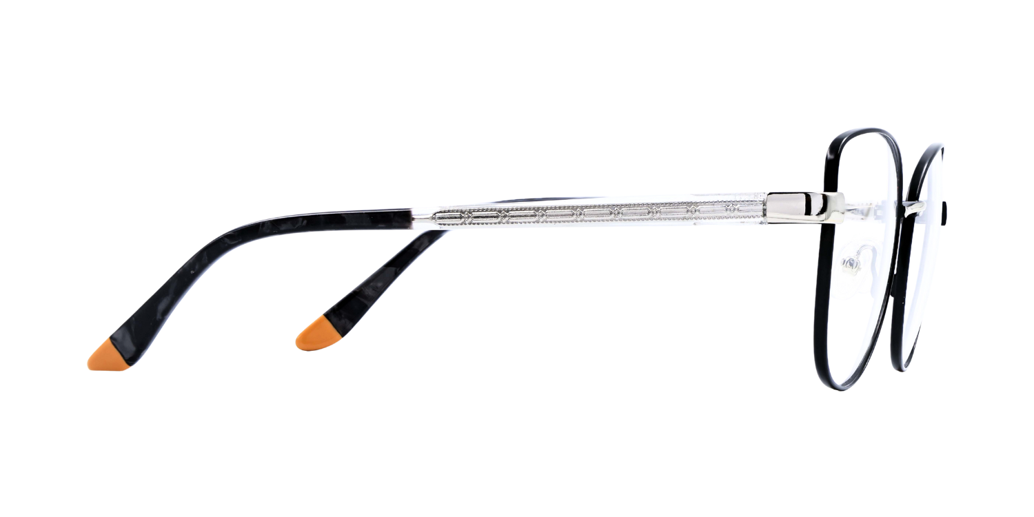 Full Rim Cat Eye Classic Eyeglasses CH006