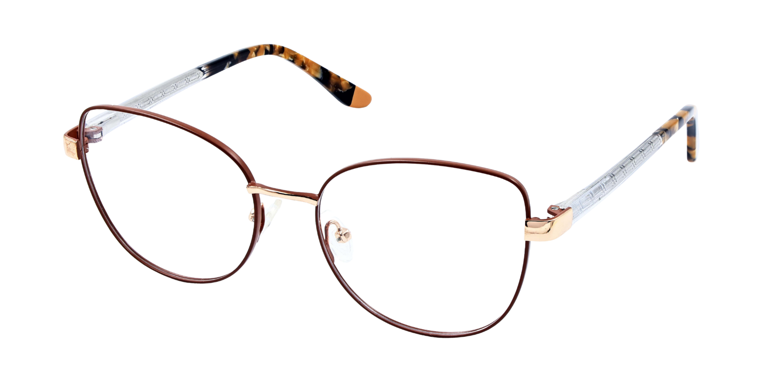 Full Rim Cat Eye Classic Eyeglasses CH006