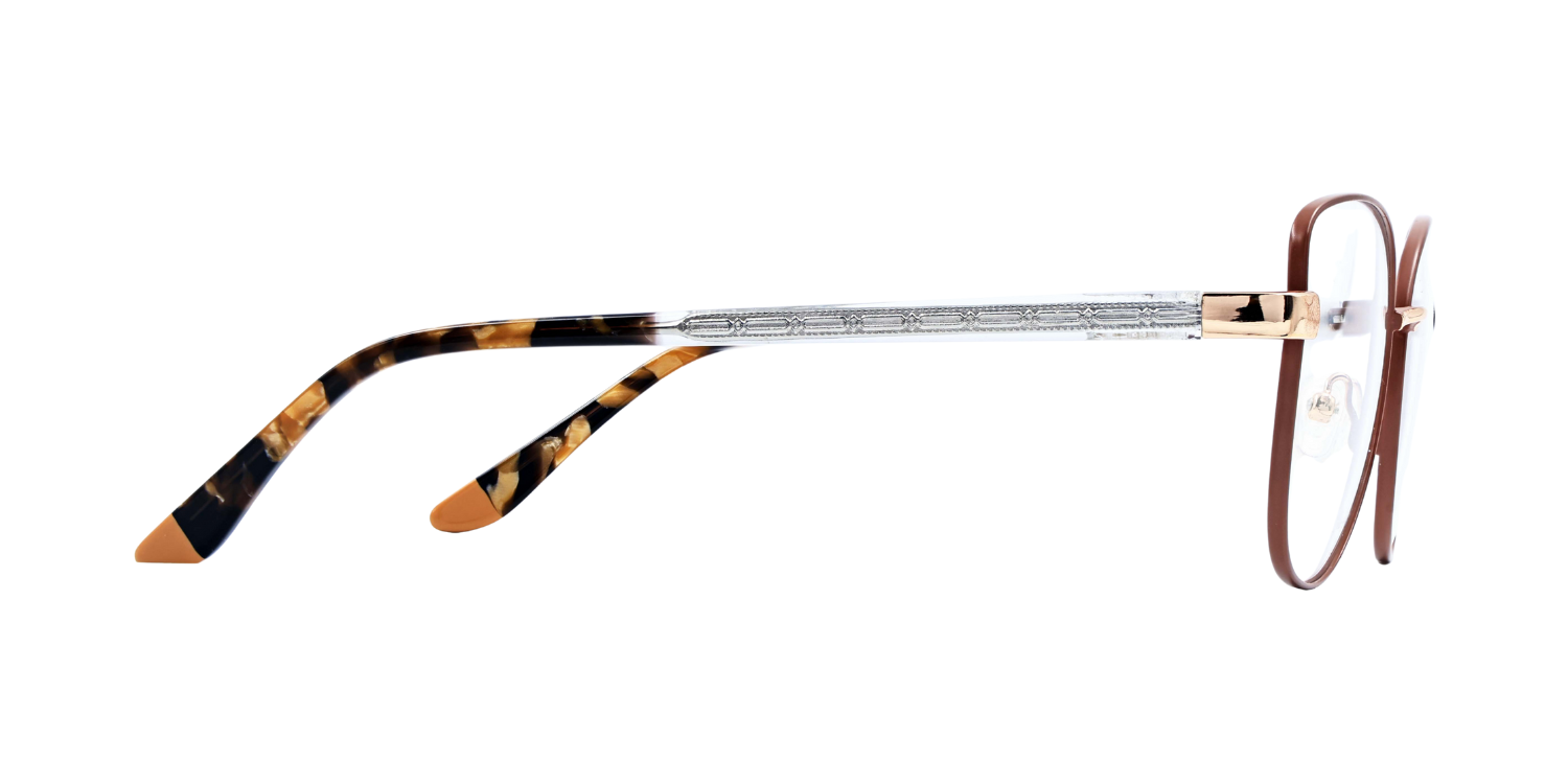 Full Rim Cat Eye Classic Eyeglasses CH006