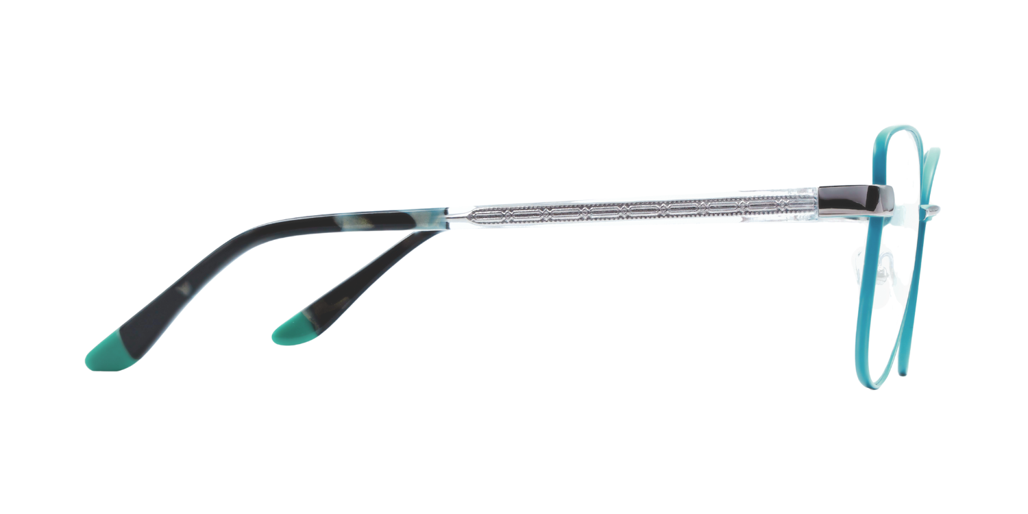 Full Rim Cat Eye Classic Eyeglasses CH006