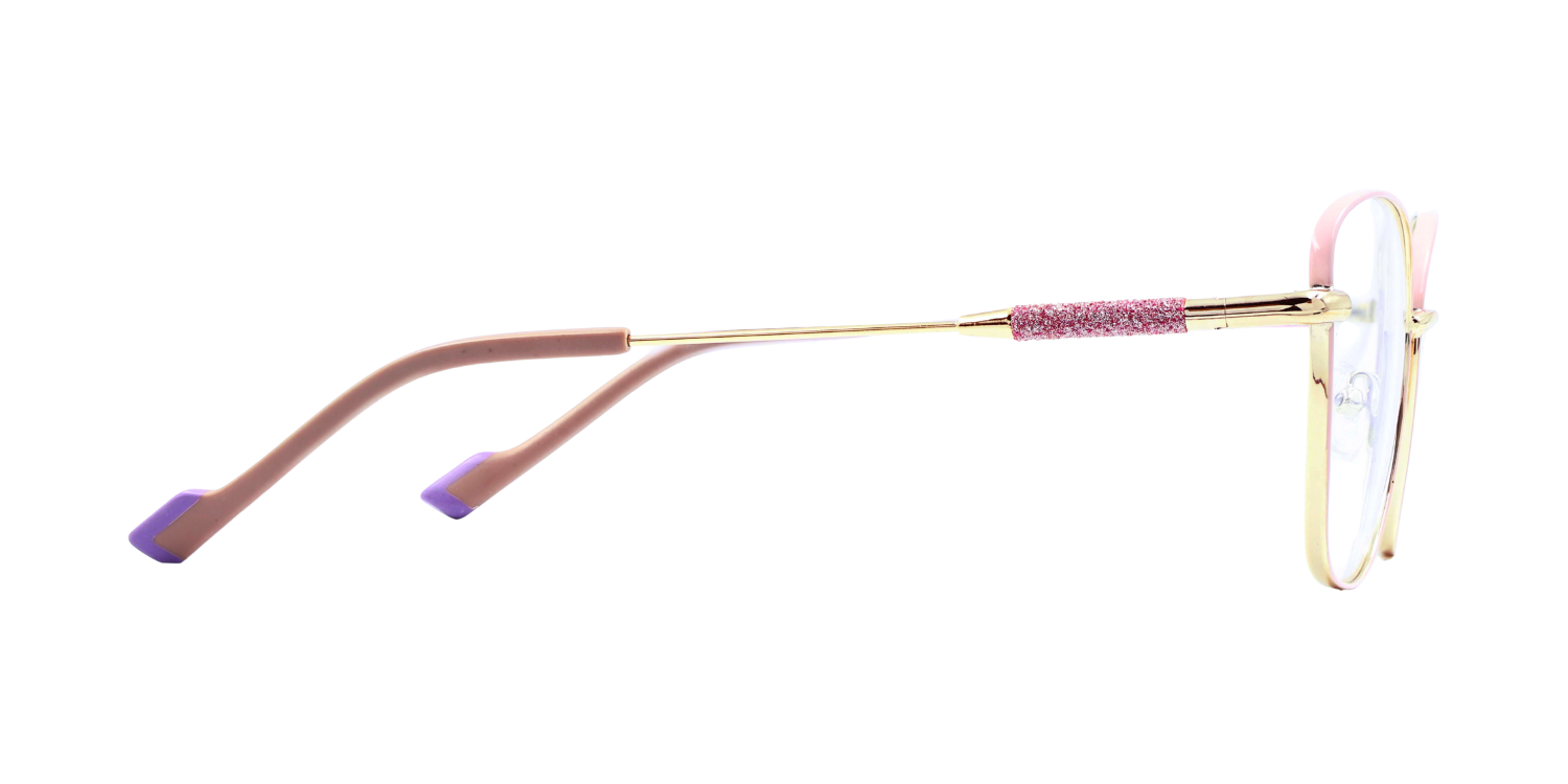 Full Rim Cat Eye Classic Eyeglasses with Sparkling Temple CH5006