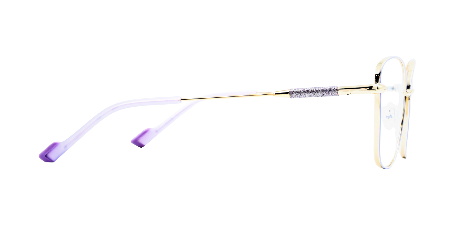 Full Rim Cat Eye Classic Eyeglasses with Sparkling Temple CH5006