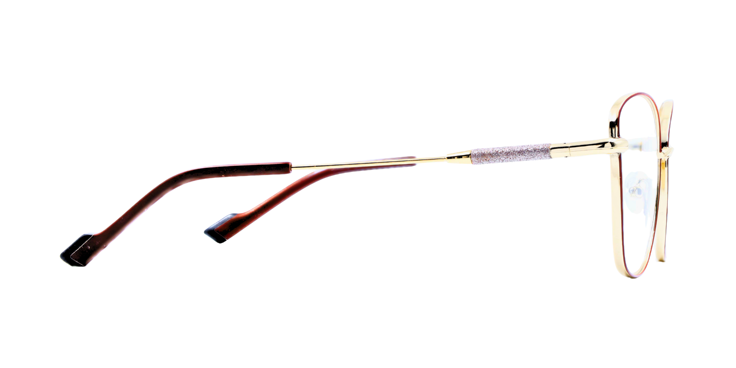 Full Rim Cat Eye Classic Eyeglasses with Sparkling Temple CH5006