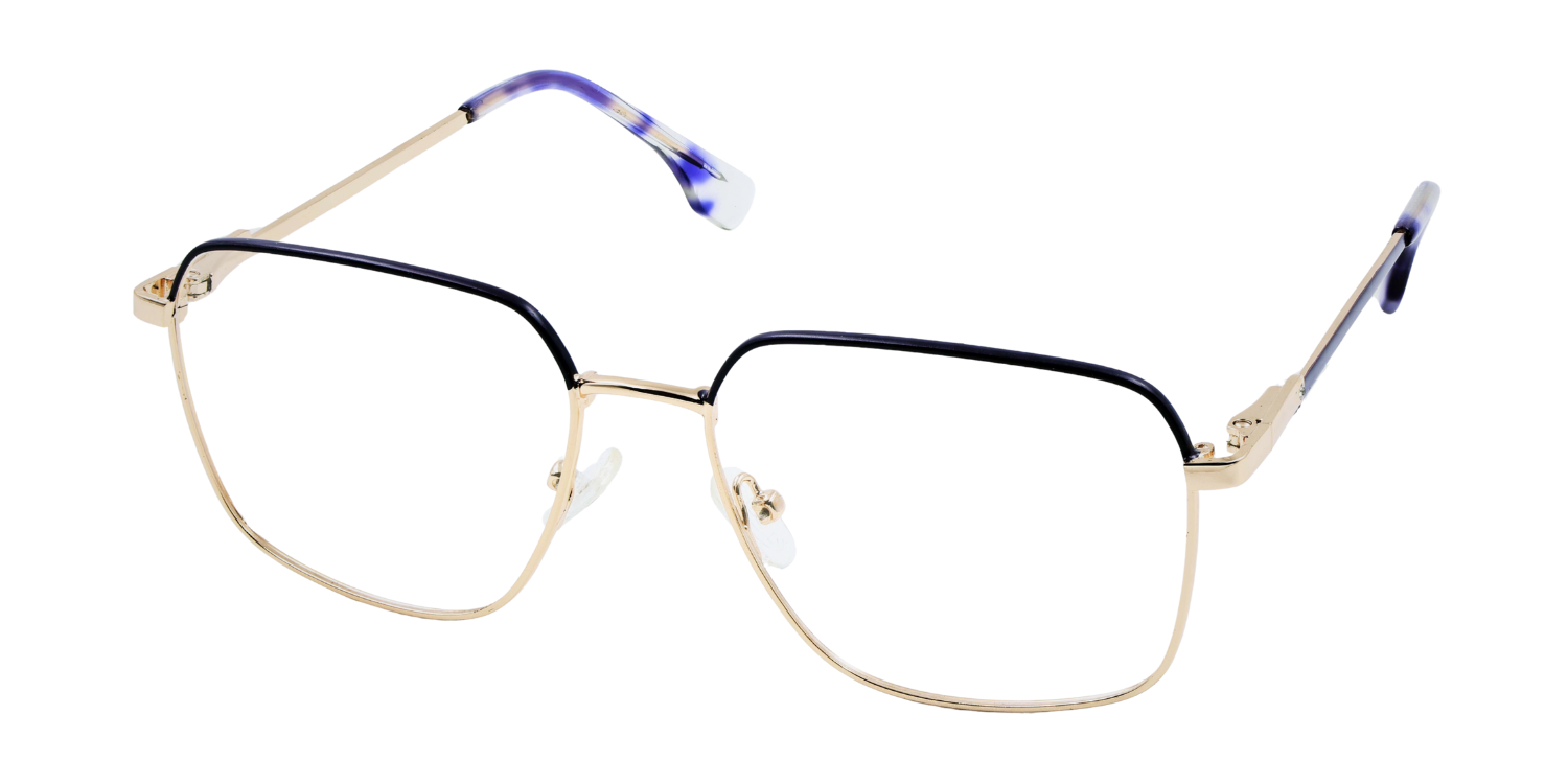 Full Rim Rectangle Classic Eyeglasses CH9011
