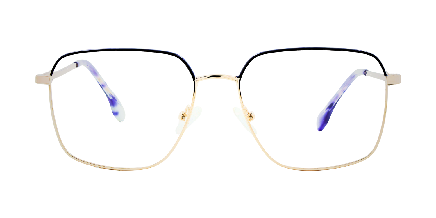 Full Rim Rectangle Classic Eyeglasses CH9011