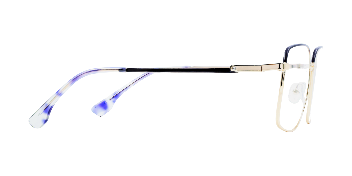 Full Rim Rectangle Classic Eyeglasses CH9011