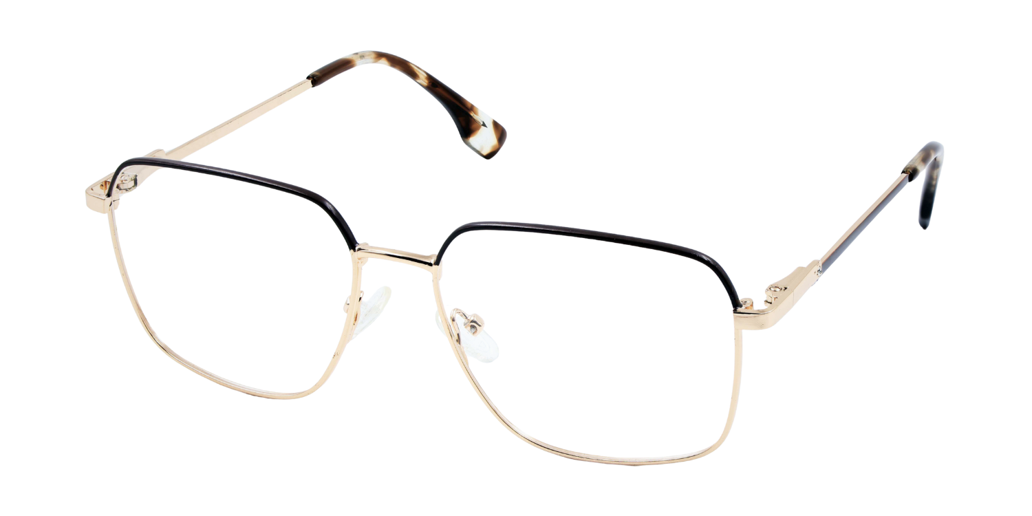 Full Rim Rectangle Classic Eyeglasses CH9011