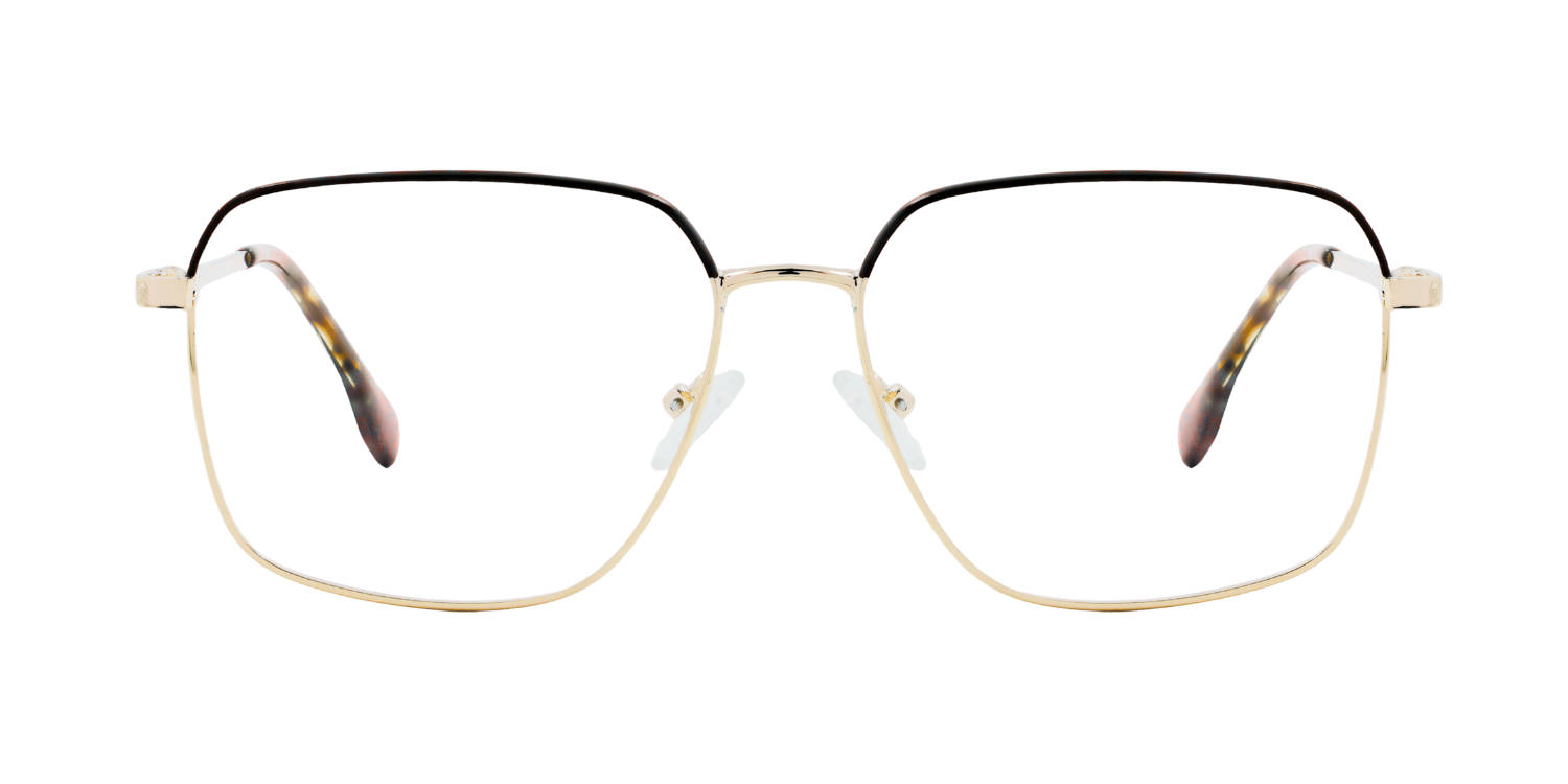Full Rim Rectangle Classic Eyeglasses CH9011