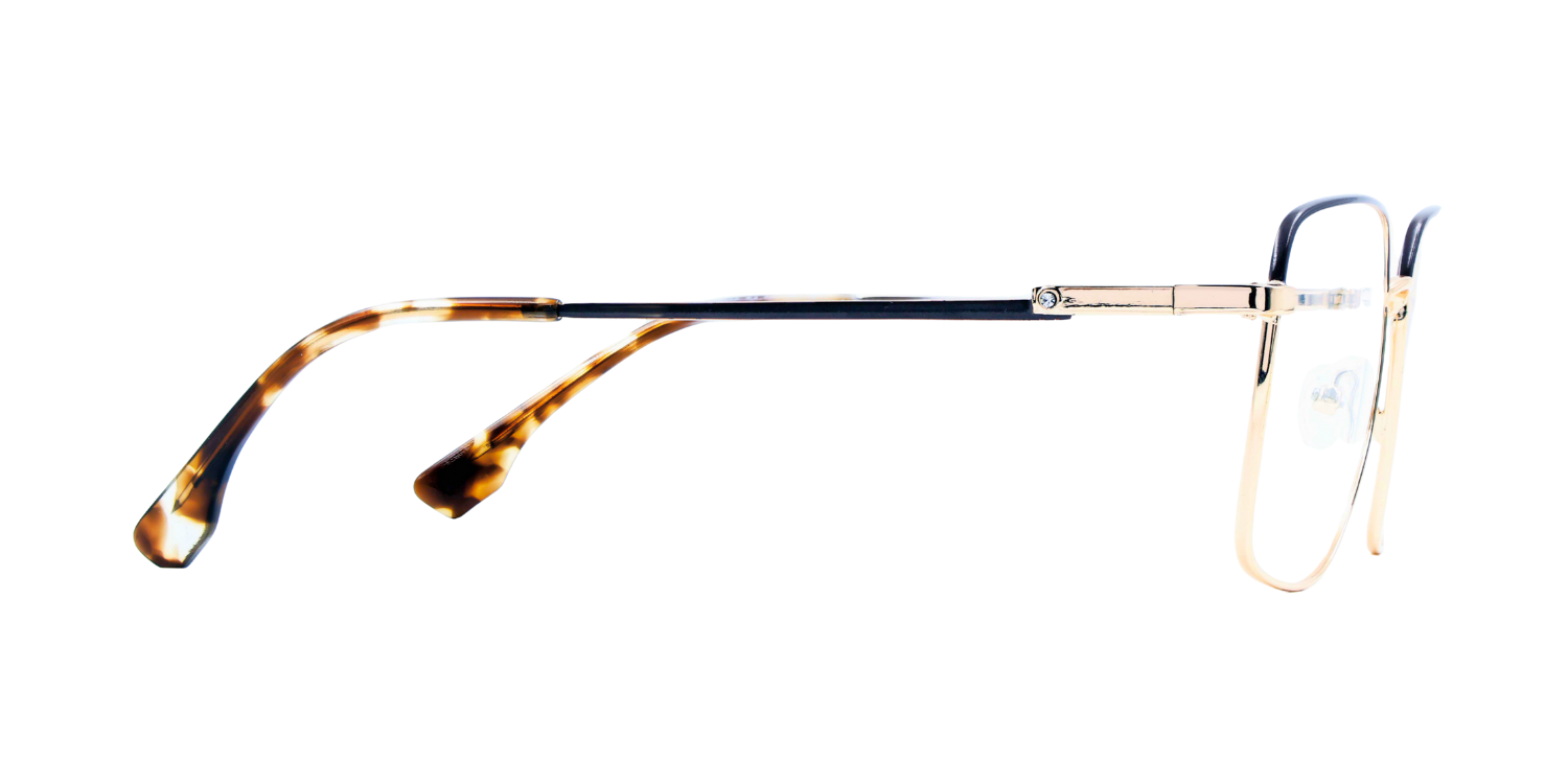 Full Rim Rectangle Classic Eyeglasses CH9011