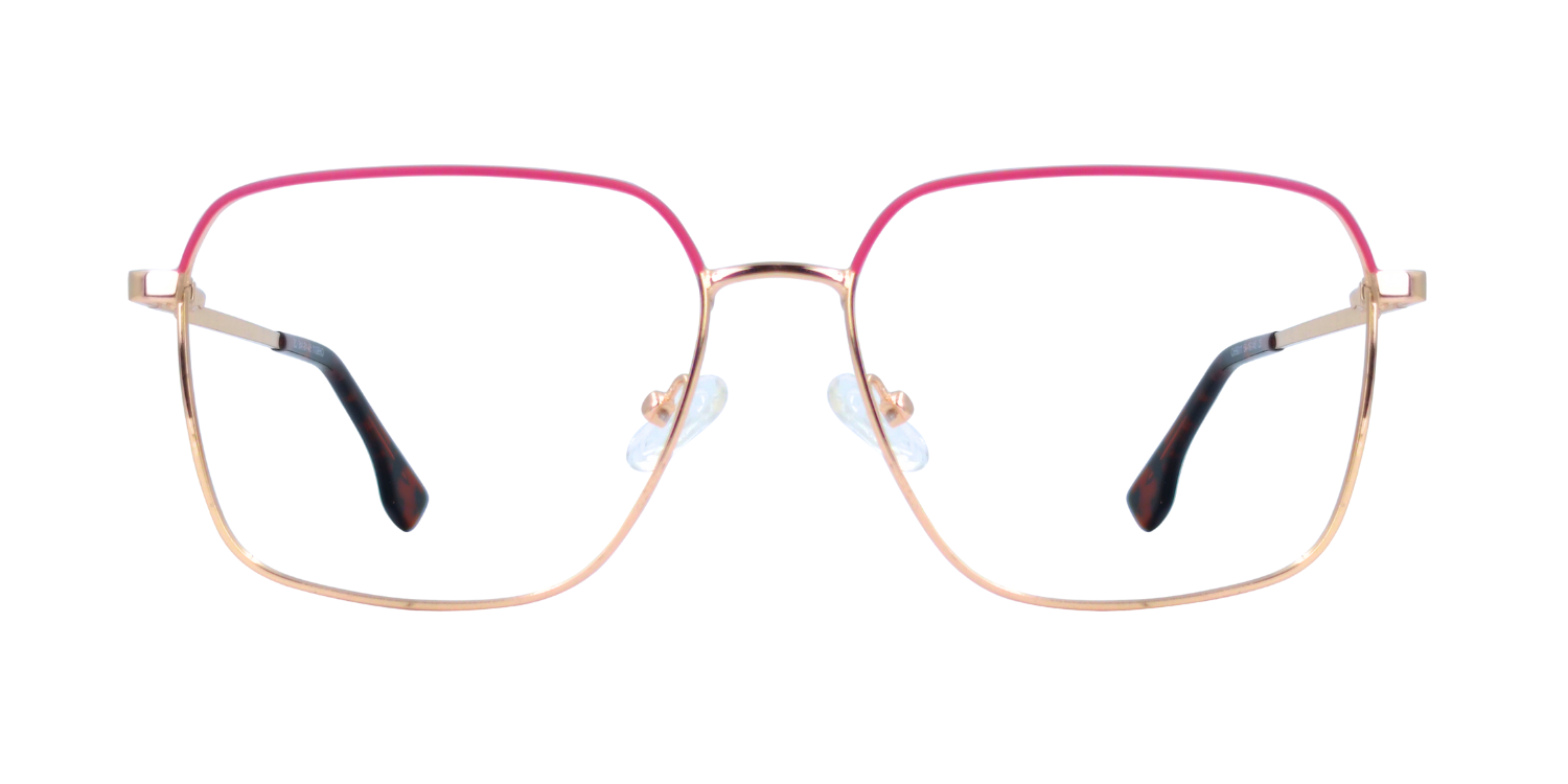 Full Rim Rectangle Classic Eyeglasses CH9011