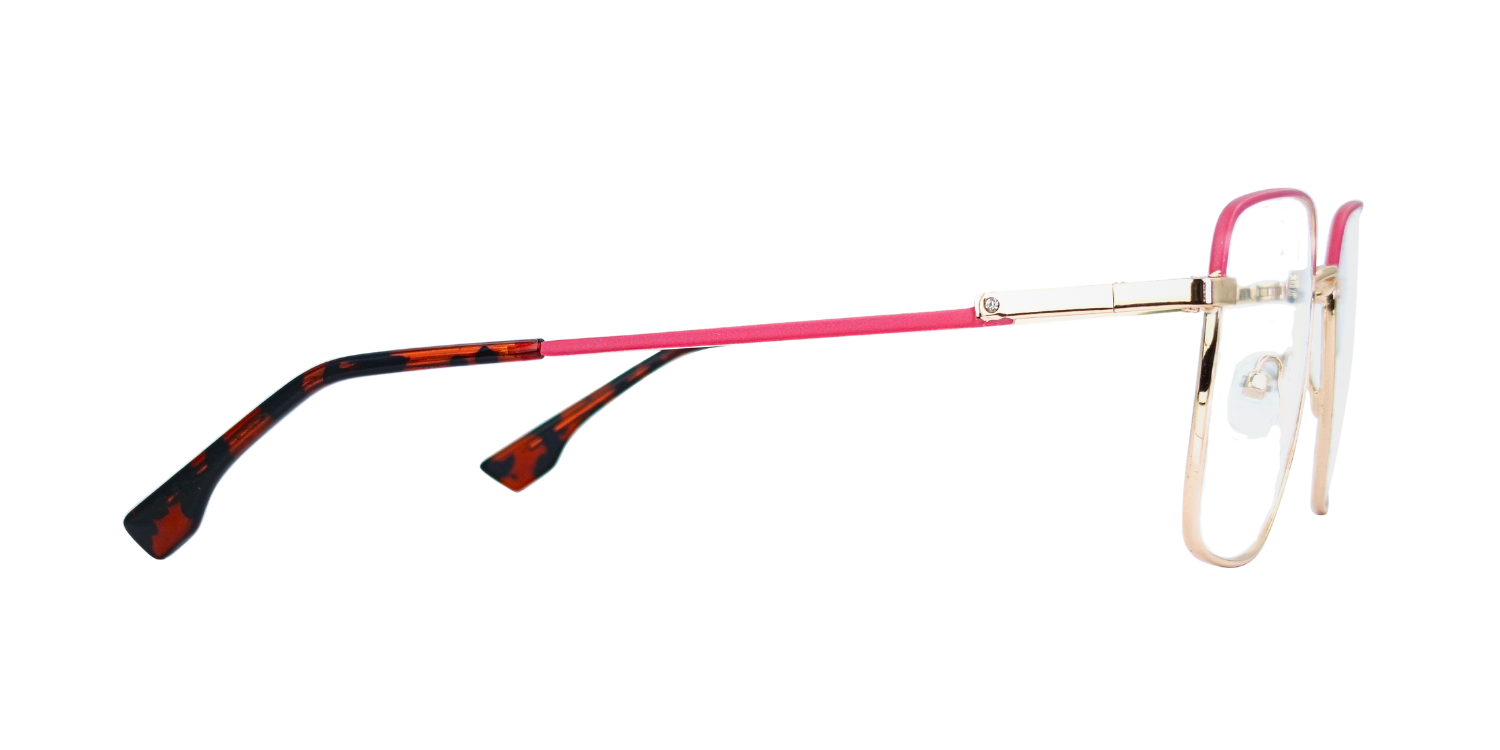 Full Rim Rectangle Classic Eyeglasses CH9011