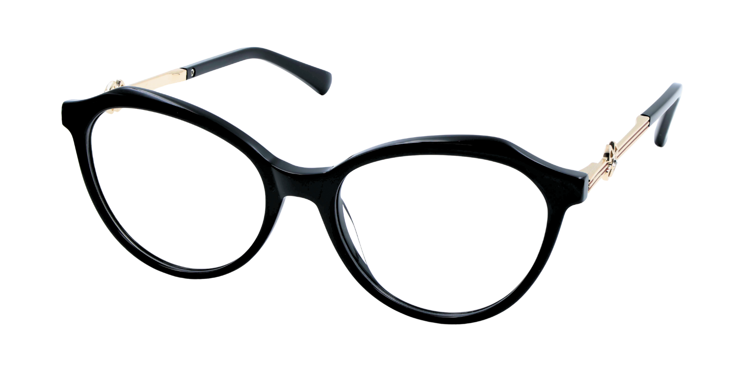 Full Rim Cat Eye Classic Eyeglasses with Accents CH A10170