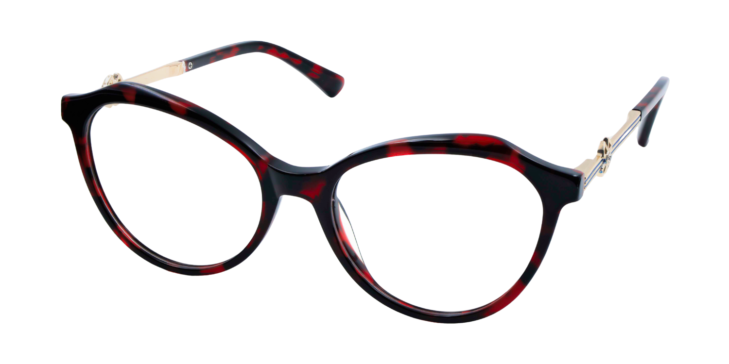 Full Rim Cat Eye Classic Eyeglasses with Accents CH A10170