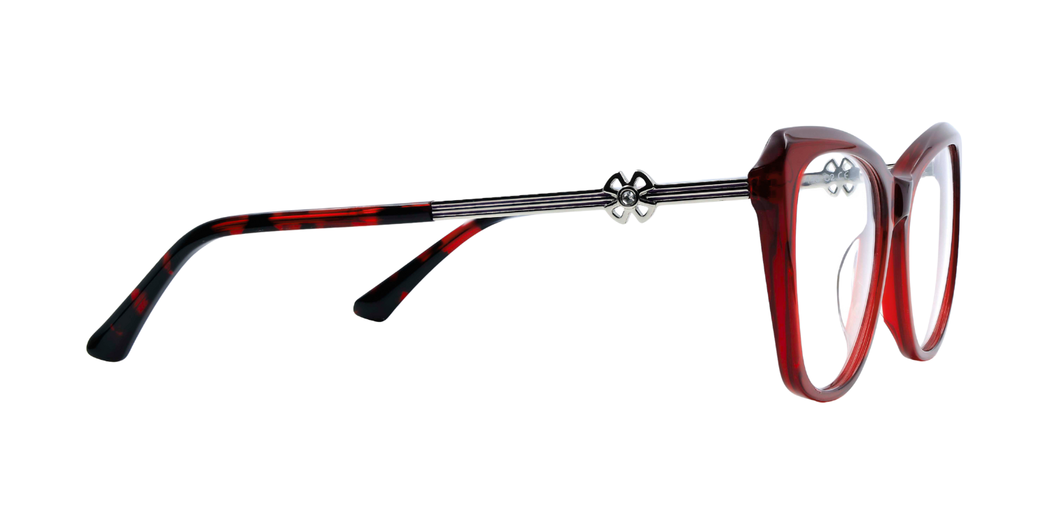 Full Rim Cat Eye Classic Eyeglasses CH A 10173