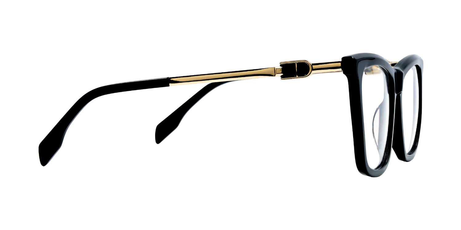 Full Rim Rectangle Classic Eyeglasses CH A10200