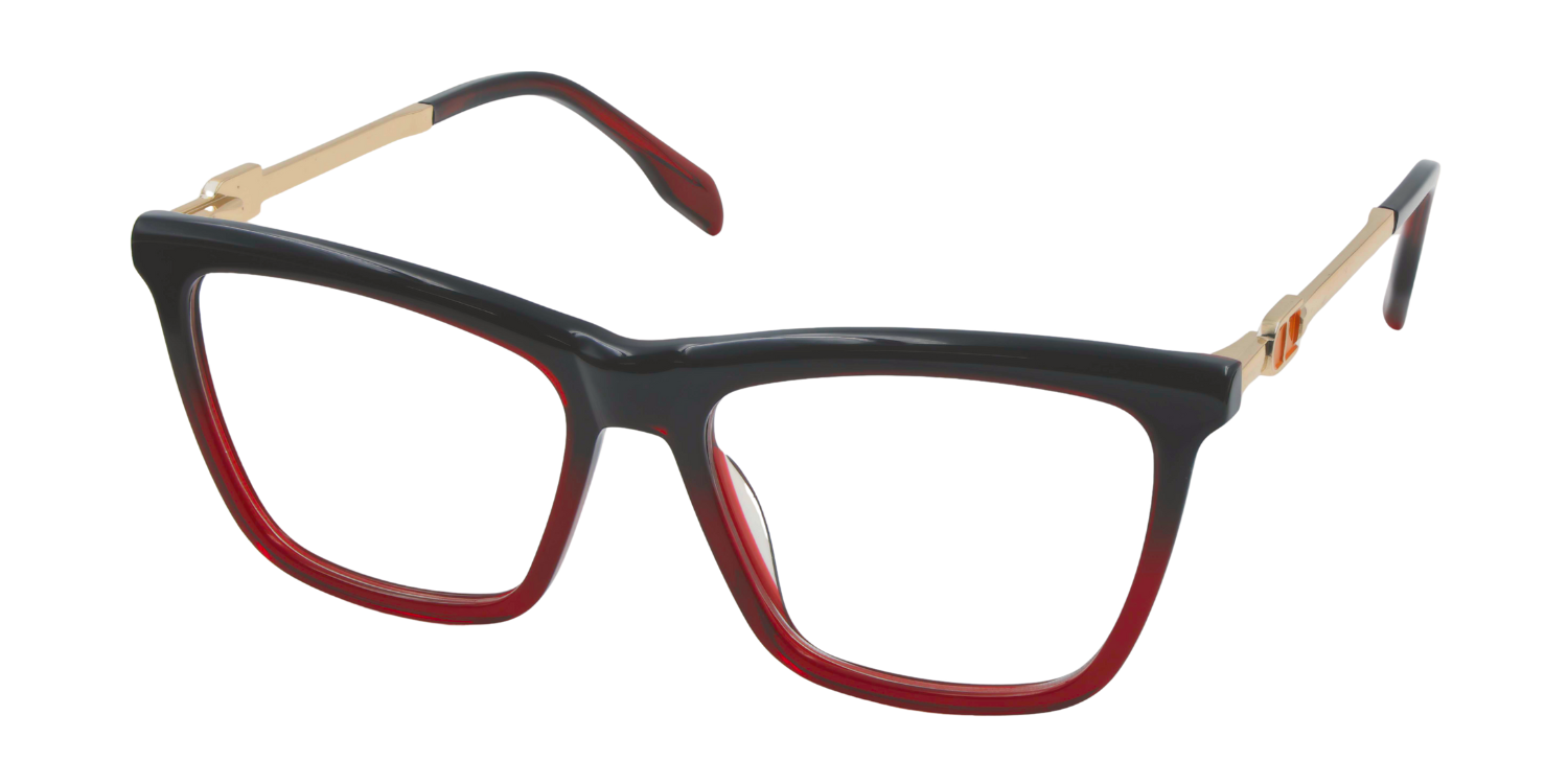 Full Rim Rectangle Classic Eyeglasses CH A10200
