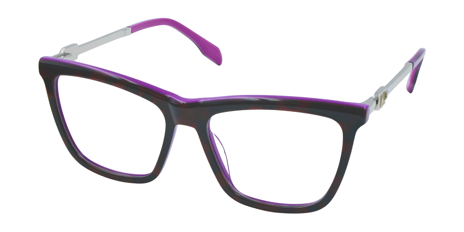 Full Rim Rectangle Classic Eyeglasses CH A10200