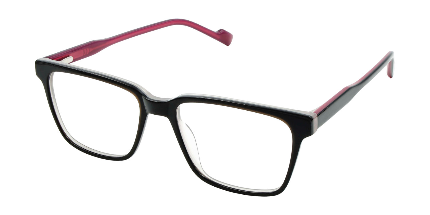 Full Rim Rectangle Classic Eyeglasses CH A10289