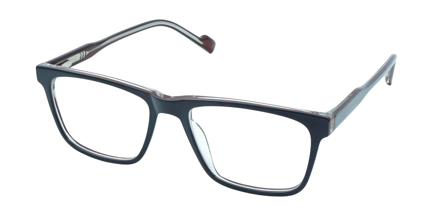 Full Rim Rectangle Classic Eyeglasses CH A10291