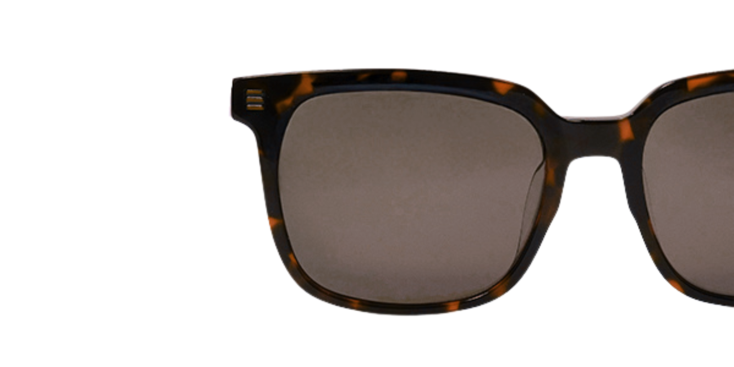 Full Rim Square Fashionista Classic sunglasses CH A 10267