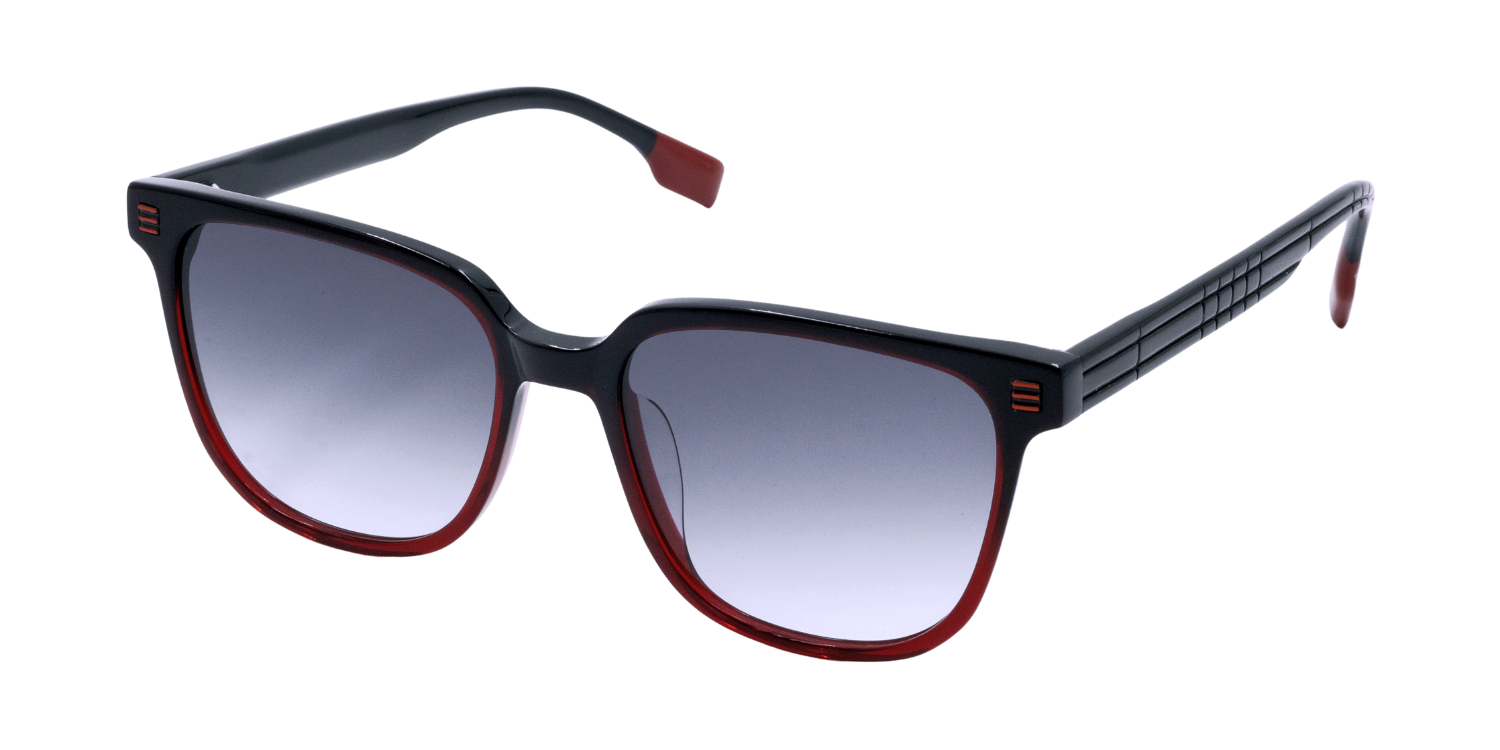 Full Rim Square Fashionista Classic sunglasses CH A 10268