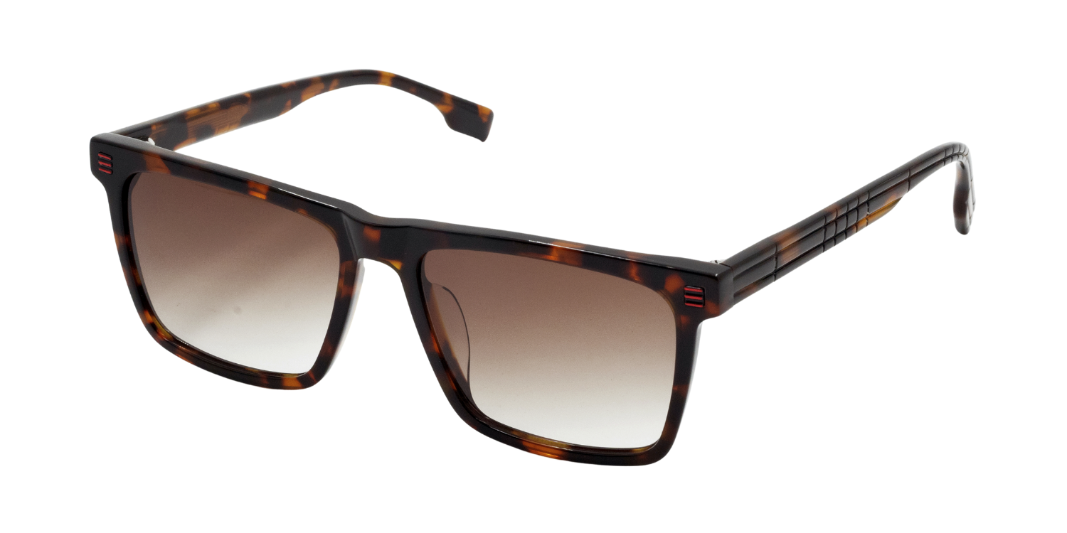 Full Rim Rectangle Fashionista Classic sunglasses CH A 10273