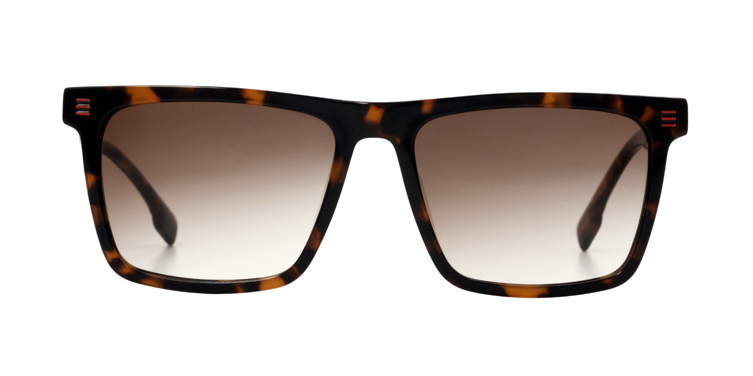 Full Rim Rectangle Fashionista Classic sunglasses CH A 10273