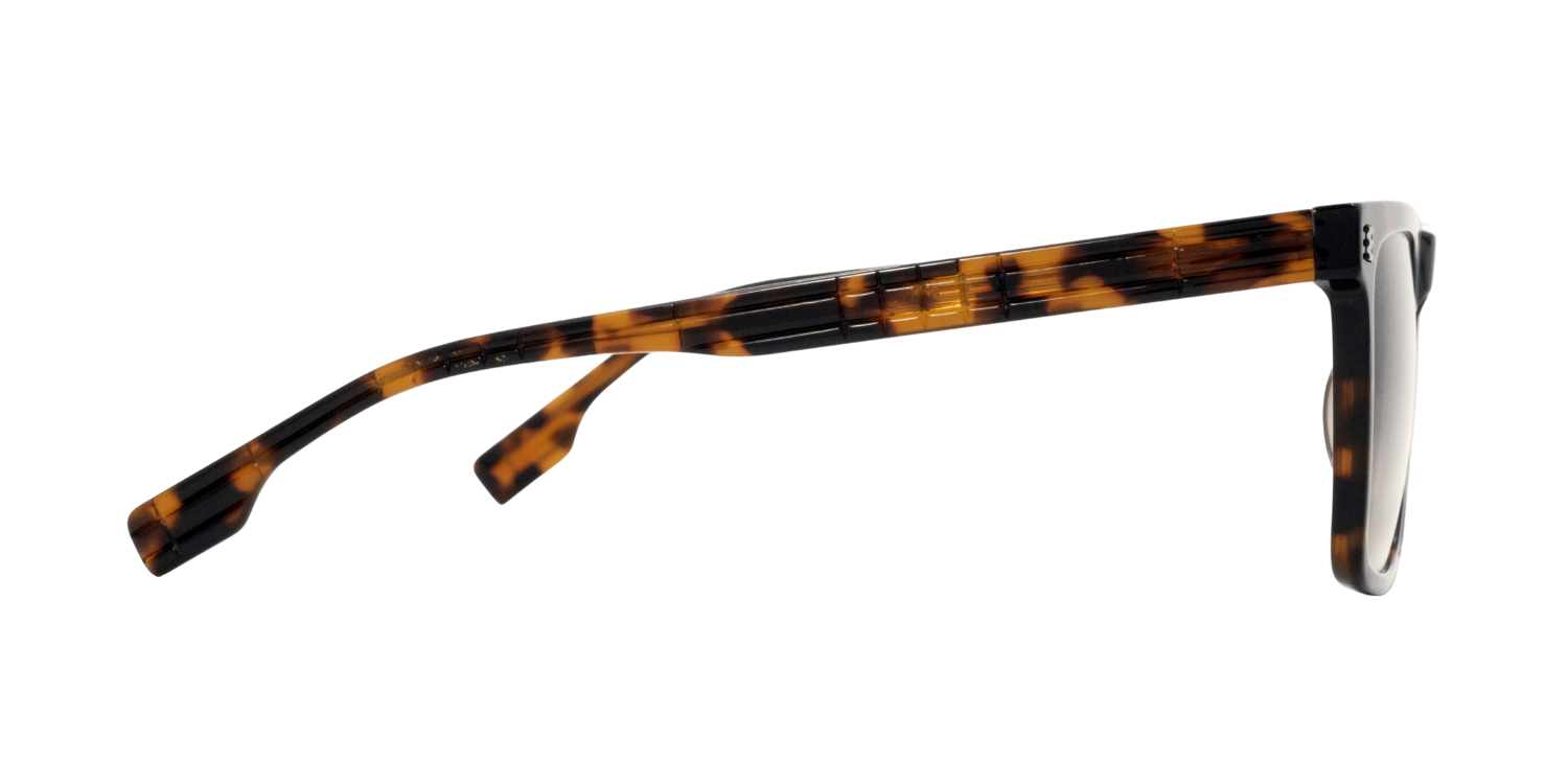 Full Rim Rectangle Fashionista Classic sunglasses CH A 10273