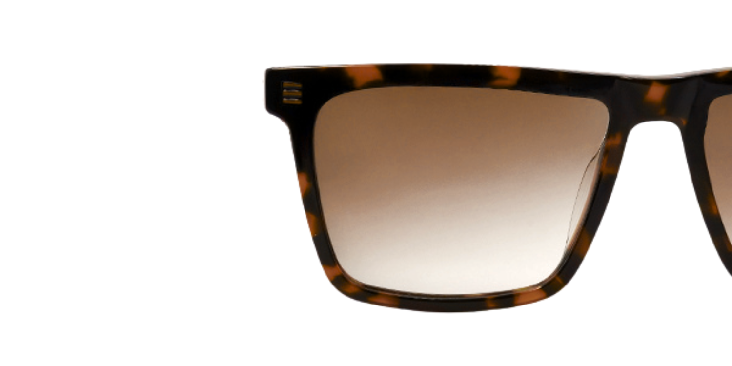 Full Rim Rectangle Fashionista Classic sunglasses CH A 10273