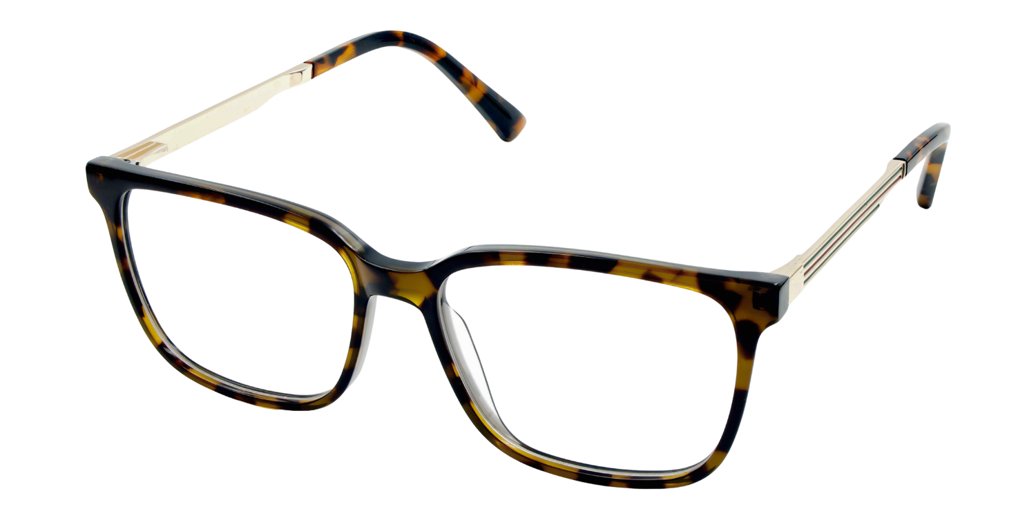 Full Rim Rectangle Classic Eyeglasses CH A 10312