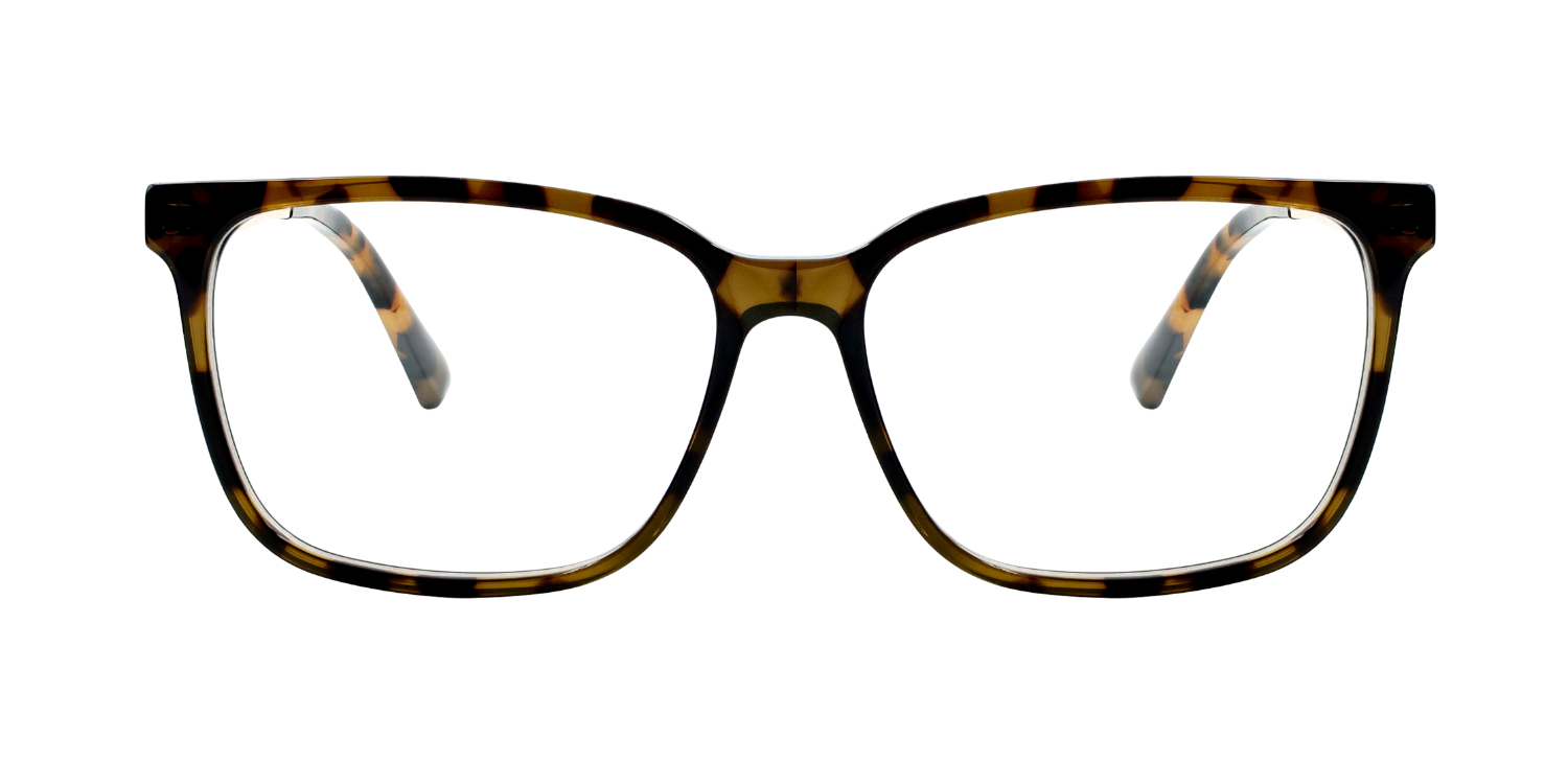 Full Rim Rectangle Classic Eyeglasses CH A 10312