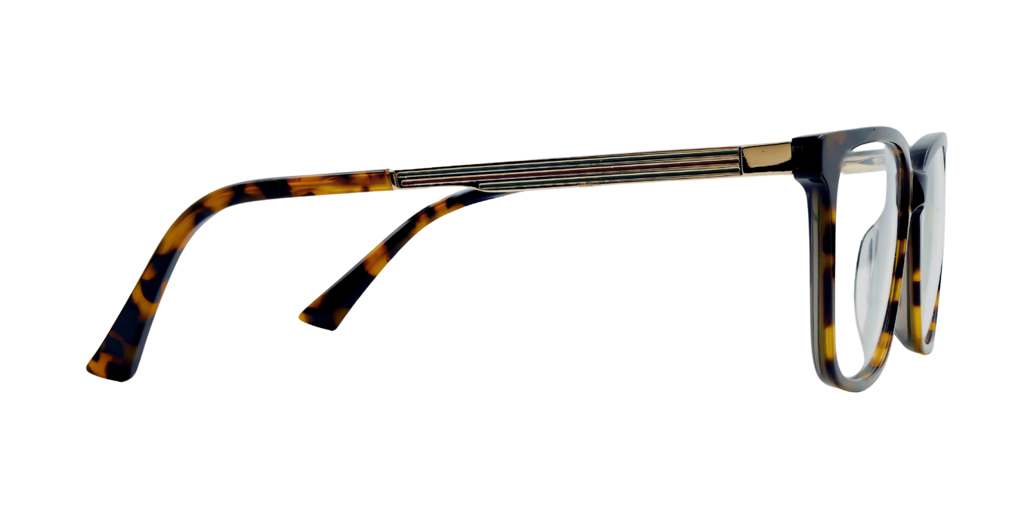 Full Rim Rectangle Classic Eyeglasses CH A 10312