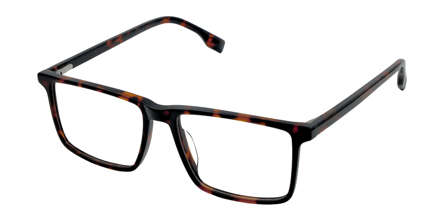 Full Rim Rectangle Classic Eyeglasses CH A 6005