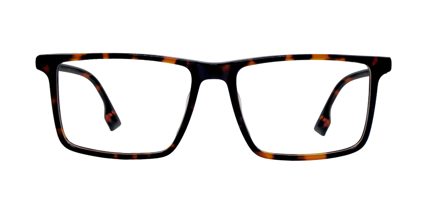 Full Rim Rectangle Classic Eyeglasses CH A 6005