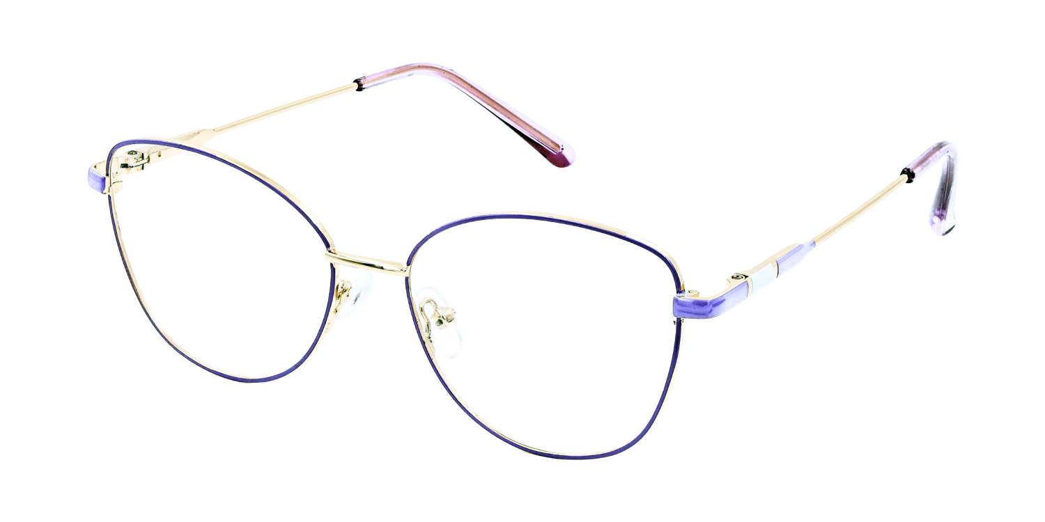 Full Rim Cat Eye Classic Eyeglasses D2210