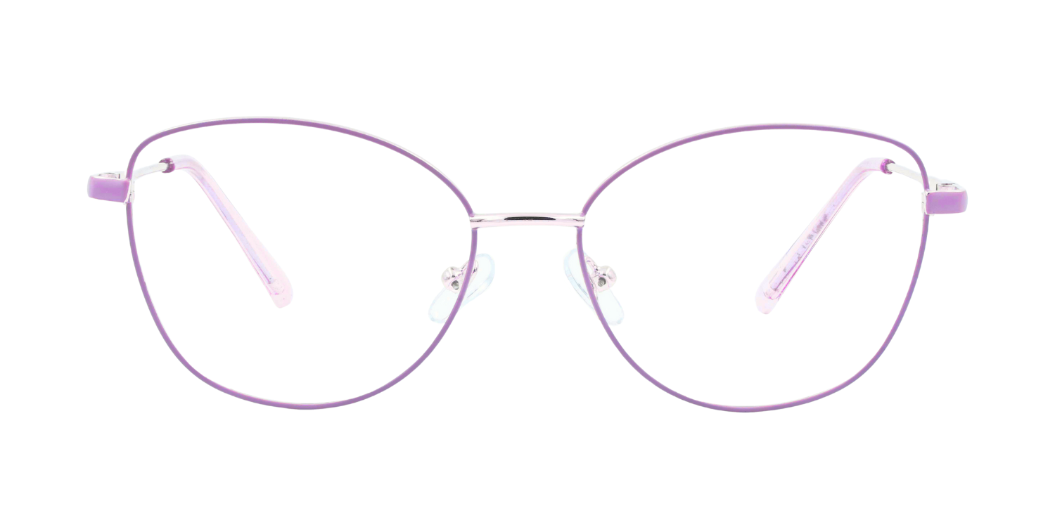 Full Rim Cat Eye Classic Eyeglasses D2210