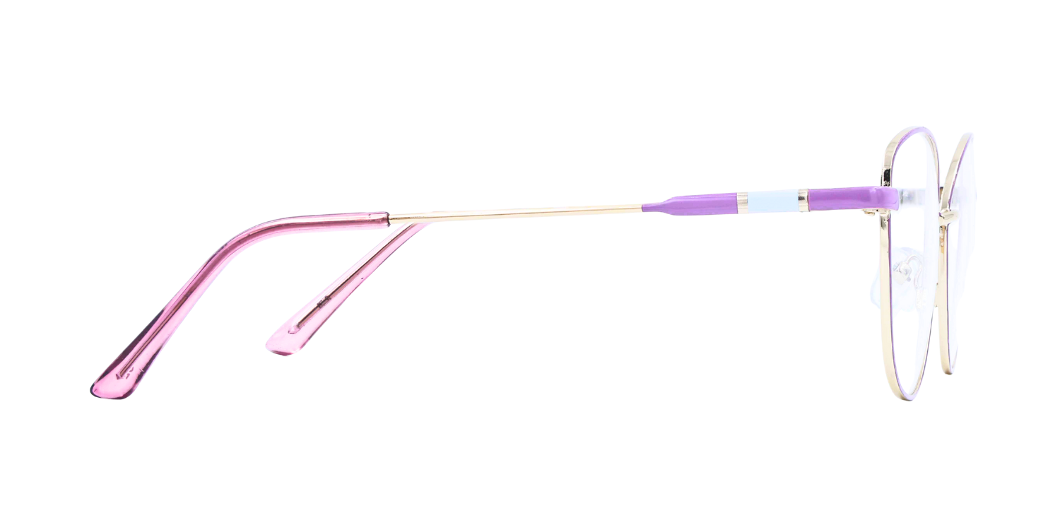 Full Rim Cat Eye Classic Eyeglasses D2210