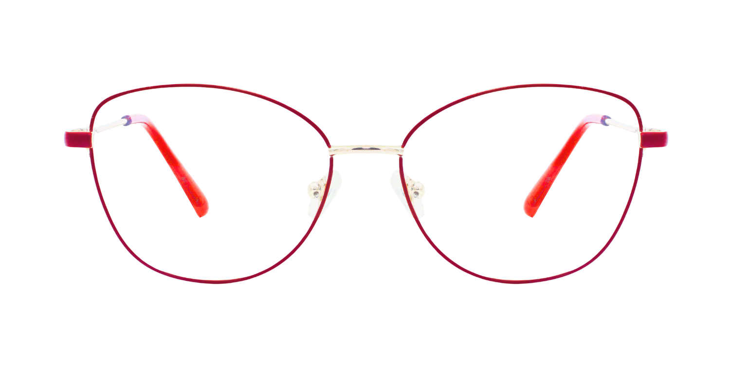 Full Rim Cat Eye Classic Eyeglasses D2210