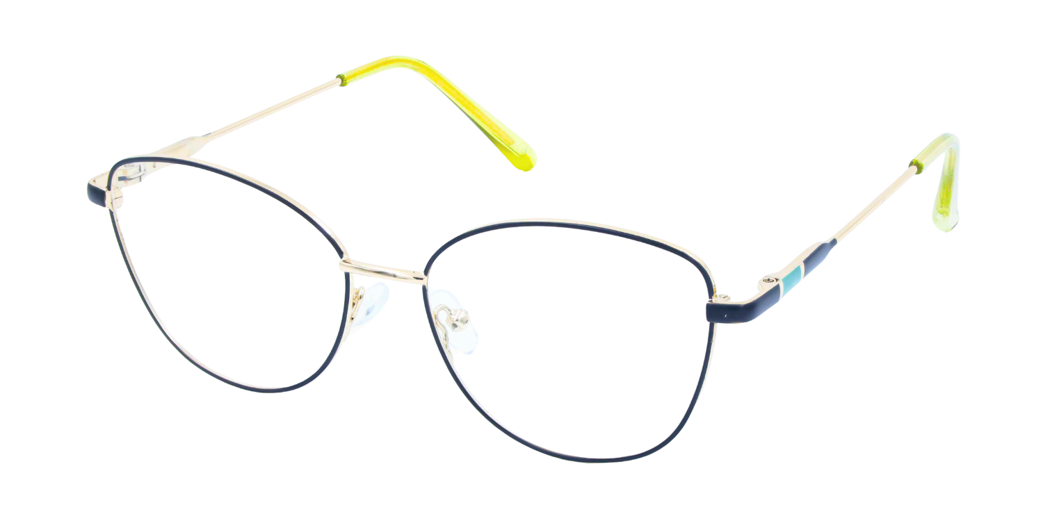 Full Rim Cat Eye Classic Eyeglasses D2210