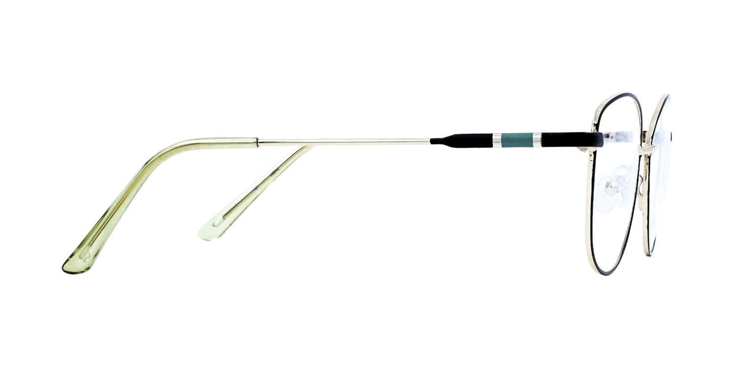 Full Rim Cat Eye Classic Eyeglasses D2210