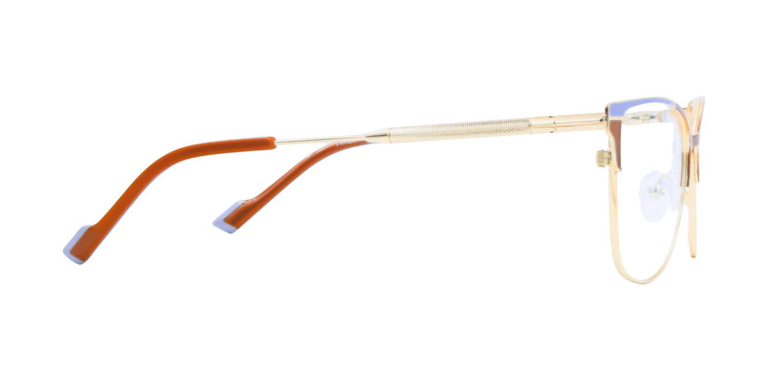 Full Rim Cat Eye Classic Eyeglasses FRHD607