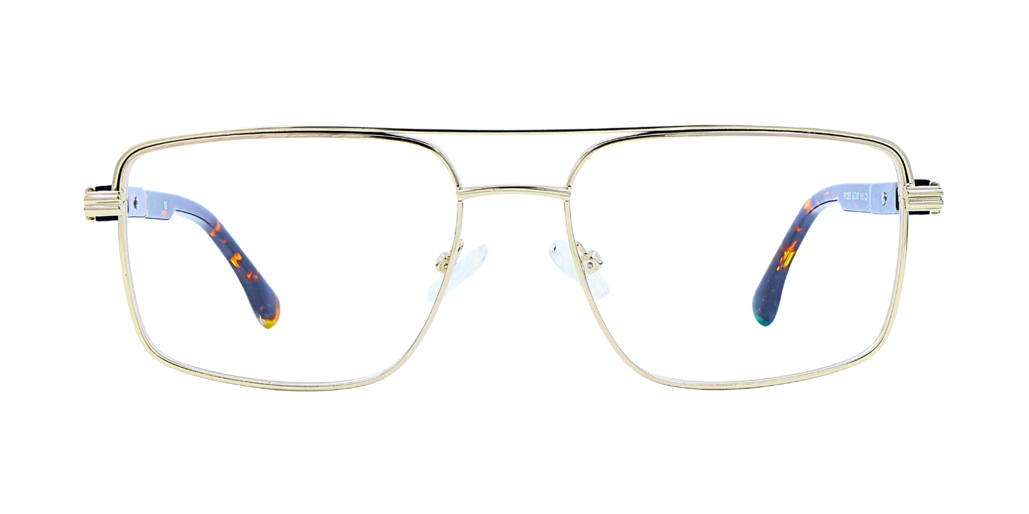 Half Rim Double Bridge Rectangle Classic Eyeglasses PY3365