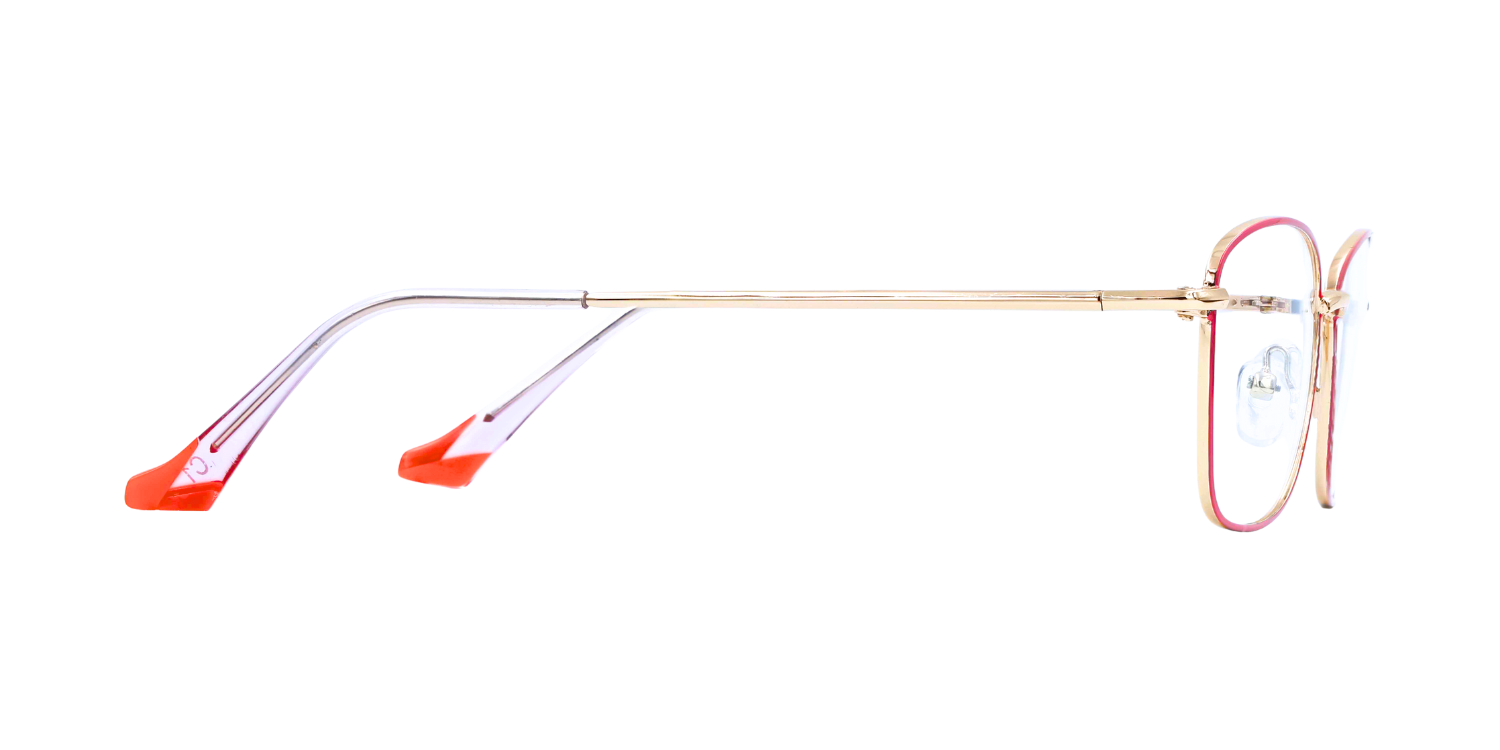 Full Rim Cat Eye Classic Eyeglasses PY6611