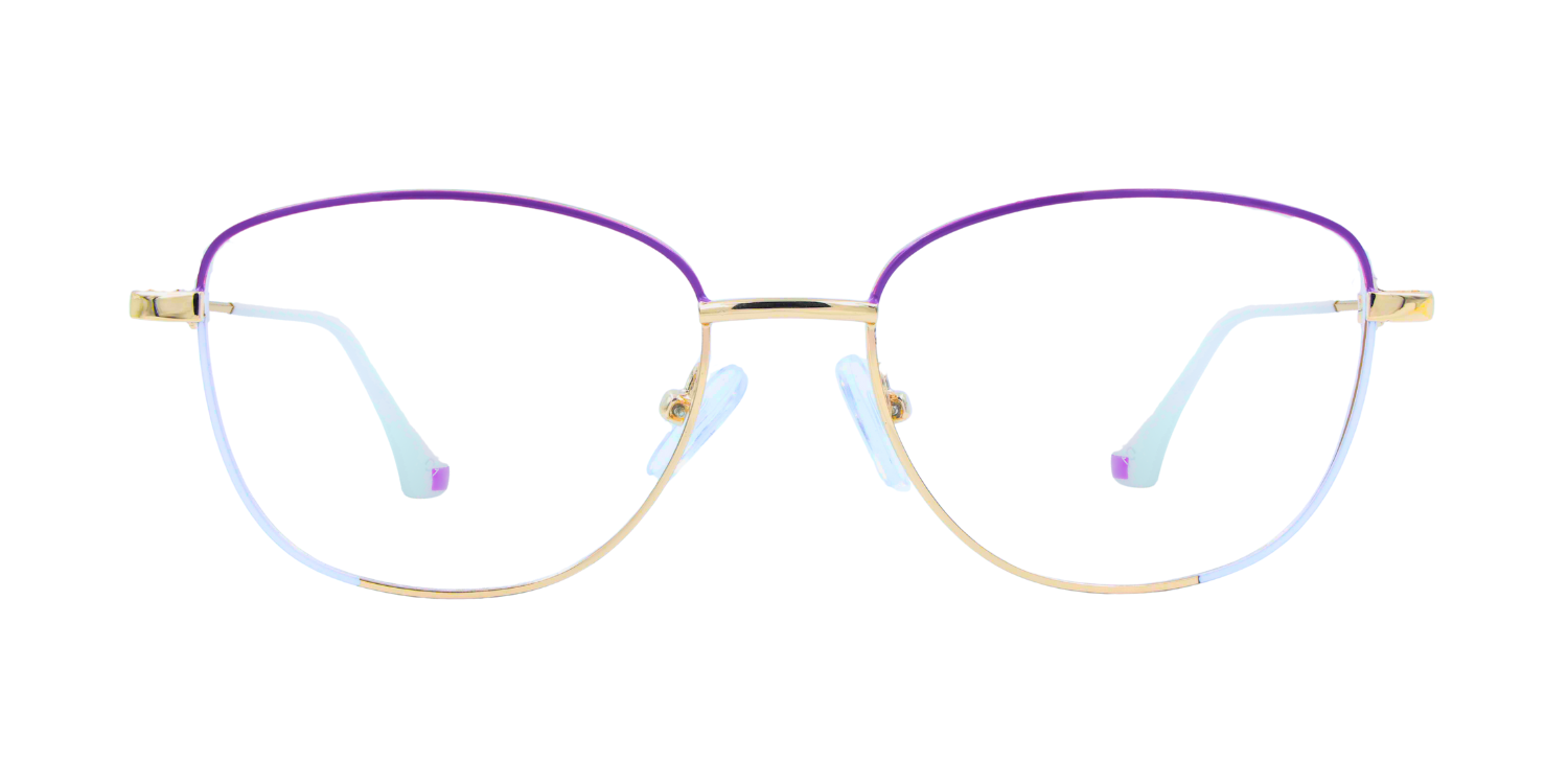 Full Rim Cat Eye Classic Eyeglasses PY6617